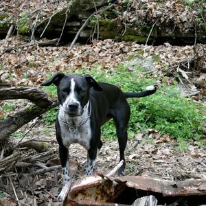 Meet your Posher, Nicki